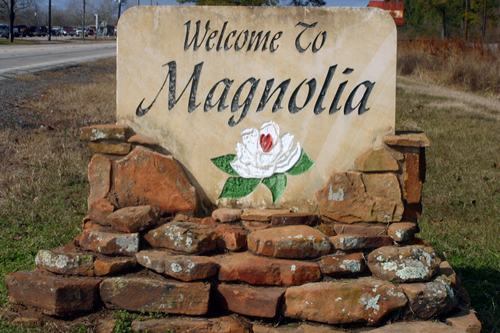 Magnolia